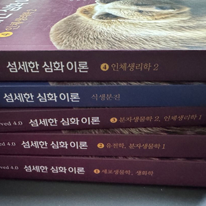 노용관 섬세한 심화이론 택포