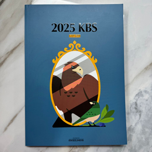대성마이맥 김승리 2025 KBS 고전 문학