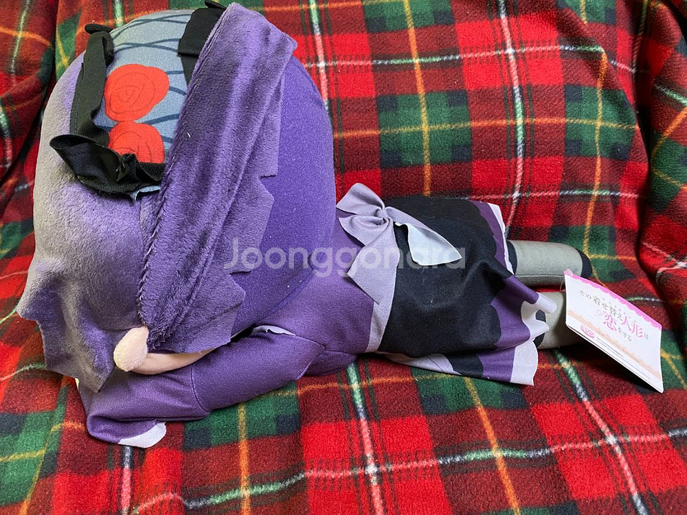 그 비스크돌은 사랑을 한다 네소베리LL 봉제인형 시즈쿠--7