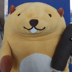 다이소 비버 인형 구해요 삽니다
