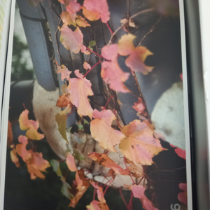 스쿨토리 톡톡 생각카드(대형, 개당15000원)