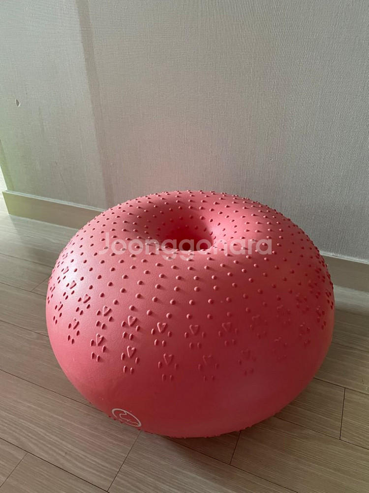 강아지운동기구 튼튼짐볼 슬개골탈구예방--0