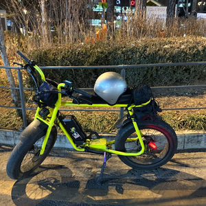 모페즈 전기자전거 350