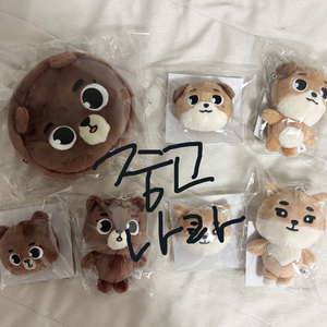데이식스 일본 엠디