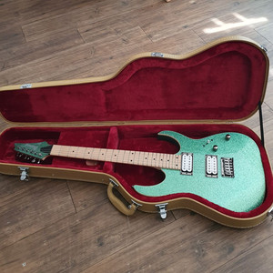 아이바네즈 일렉기타 Ibanez RG421 (하케포함)