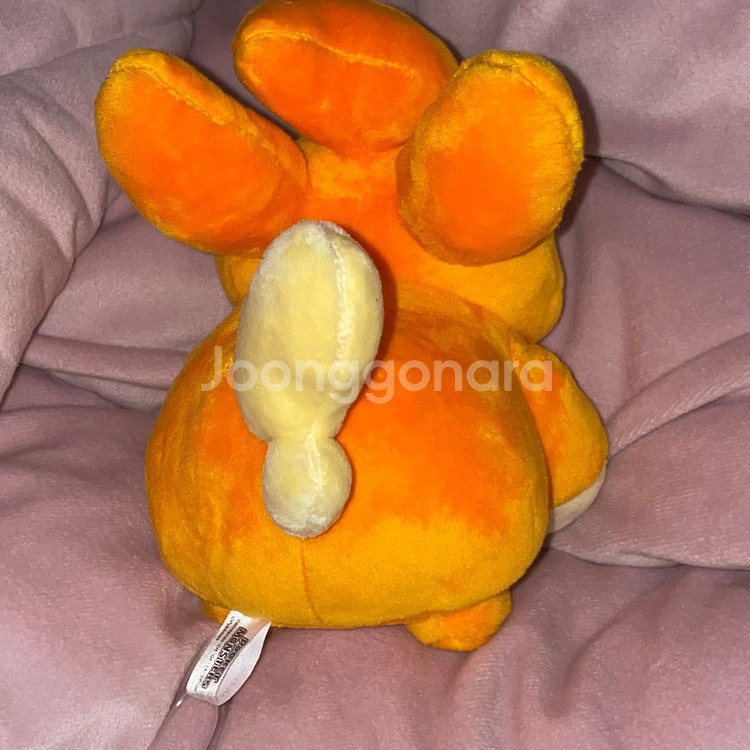 포켓몬스터 포켓몬 피카츄 모코모코 빠모 인형 누이--3
