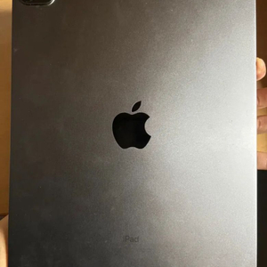 아이패드 프로 11 2세대 1TB 셀룰러