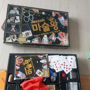 마술왕/체스/세계지도퍼즐