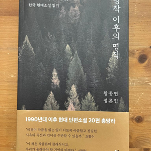 명작 이후의 명작 : 황종연 평론집