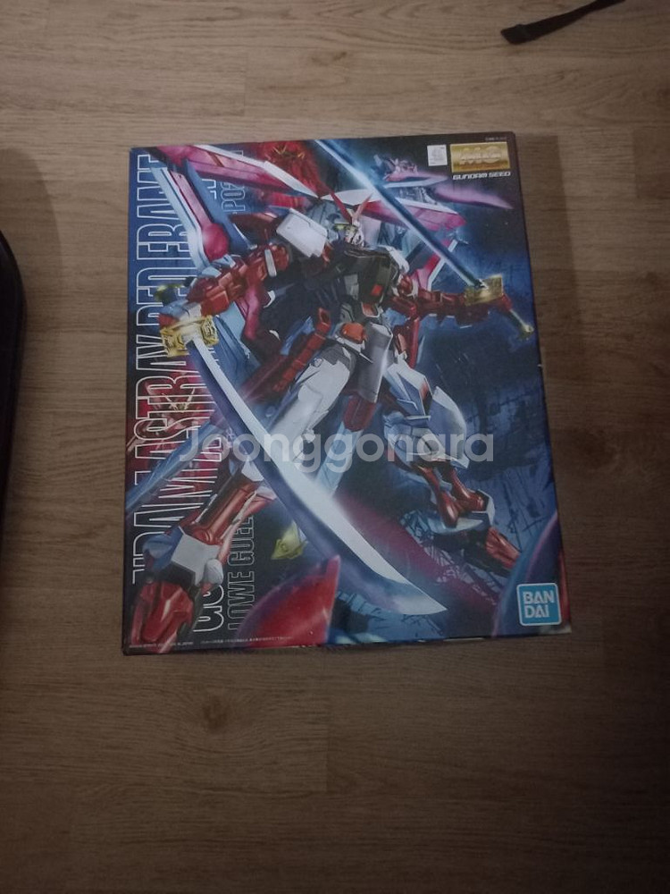 반다이 mg 레드프레임 카이 건담--0