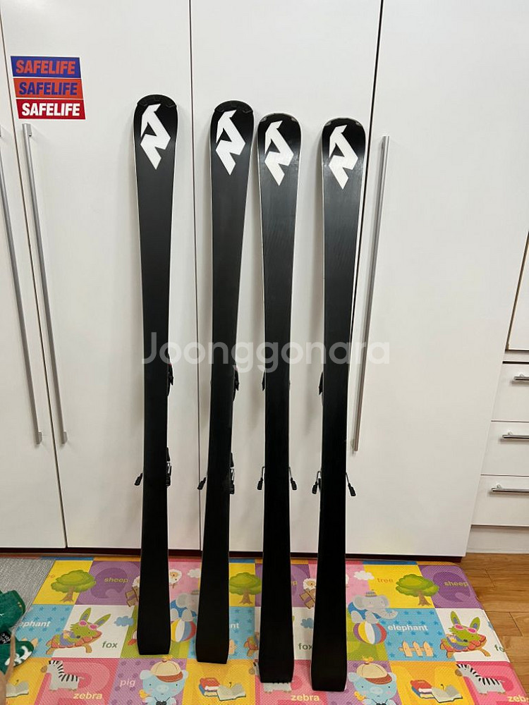 노르디카 도베르만 반드컵 / SLR--1