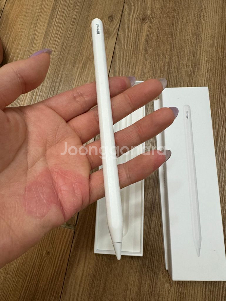 애플펜슬2세대--1