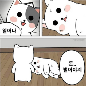 오디션 오토키보드 판매합니다