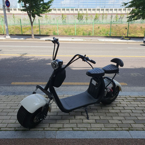 전동바이크