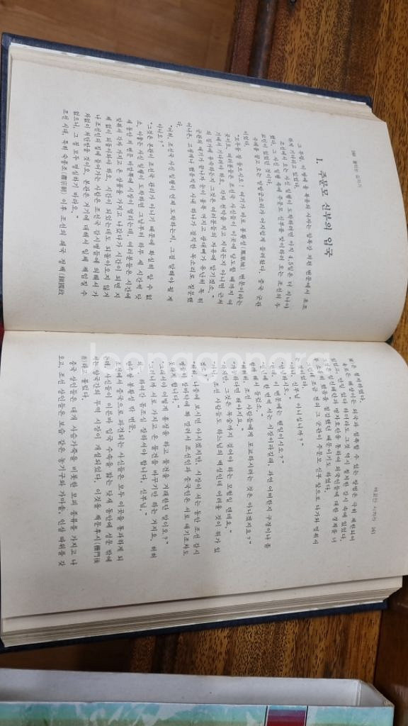 대하실록 여명200년--5