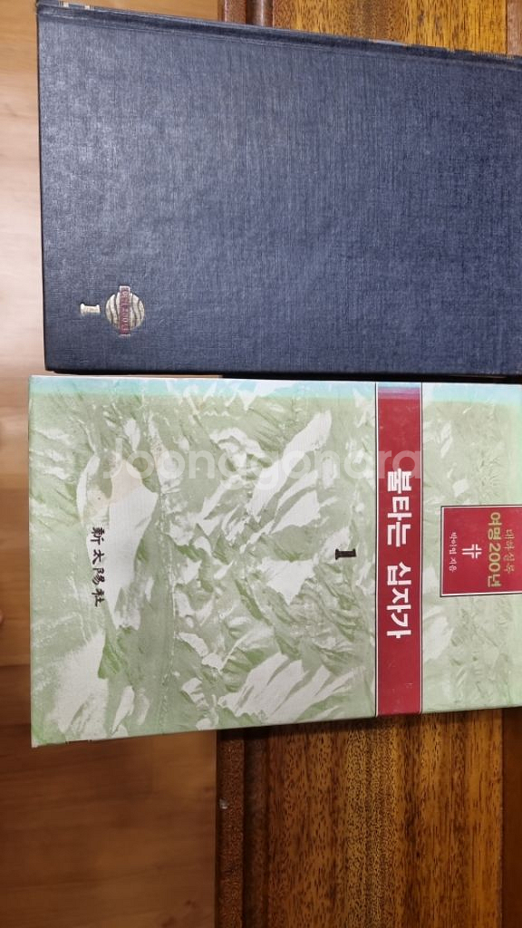 대하실록 여명200년--4