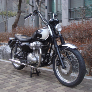 2013 년식 W 800 구형