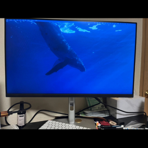 Dell flat panel monitor P2722H