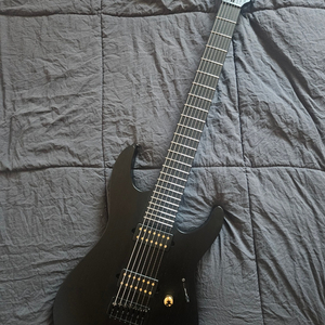 ESP LTD 알렉스 웨이드 시그네쳐 일렉기타 AW7B