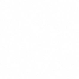 파우치