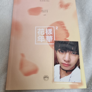 방탄 화양연화 pt.2 피치 포카 뷔