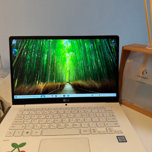 lg그램 lg 14z970-GR3HK 14인치 판매