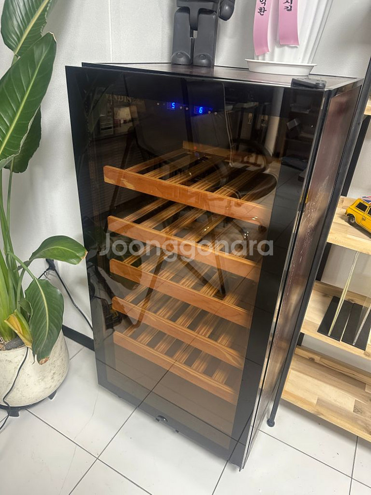 빈디스 와인셀러 80본--1