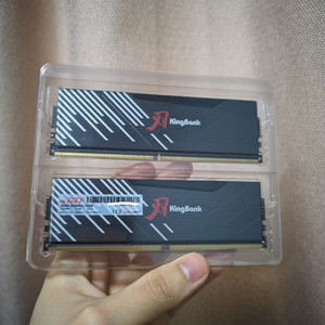 킹뱅크 ddr5 5600mhz 24gb 2개