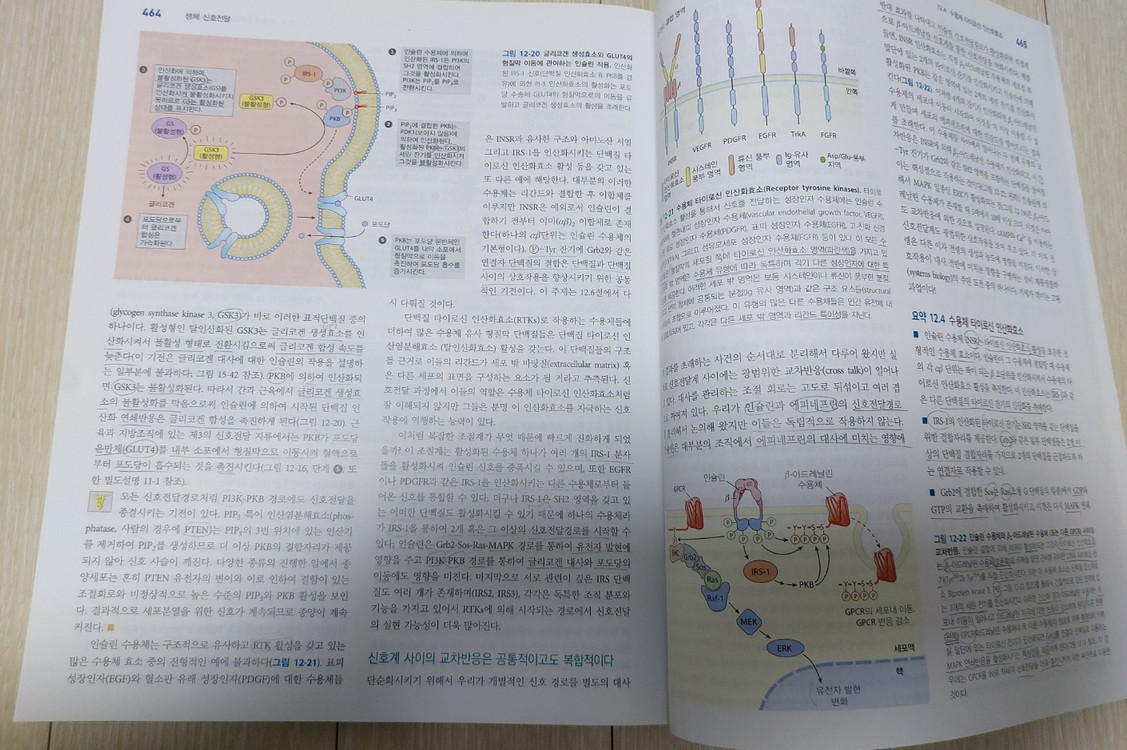 레닌저 생화학 제7판 상 이미지