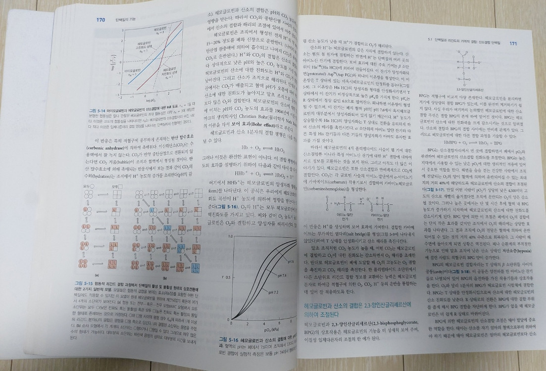 레닌저 생화학 제7판 상 이미지