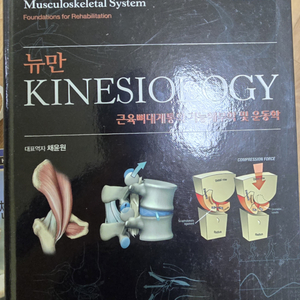 범문 뉴만 kinesiology