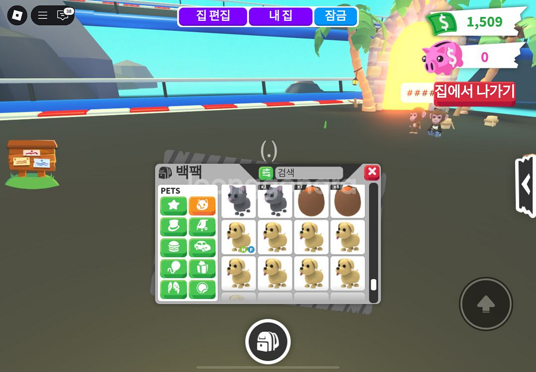 입양하세요 3번째 펫팝니당--4