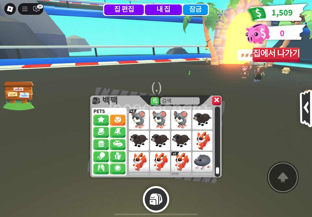 입양하세요 3번째 펫팝니당--6