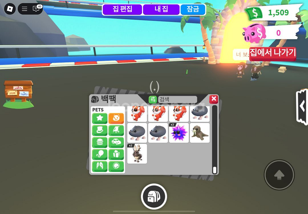입양하세요 3번째 펫팝니당--7