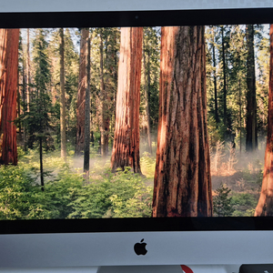 아이맥(iMac) 2019 27인치 5k i9 CTO