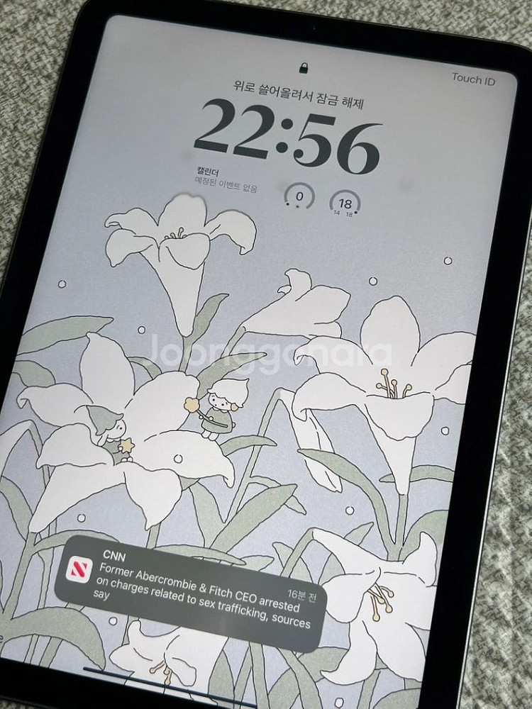 아이패드미니6 스페이스그레이 256GB 셀룰러--1