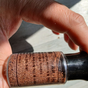 어항 씨앗수초 15g