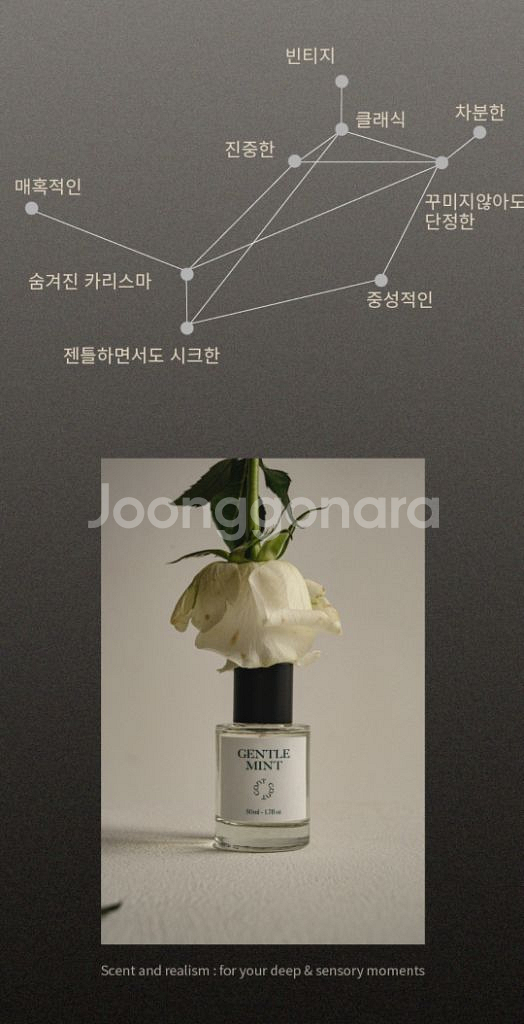 콘트 향수--3