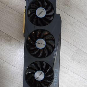 rtx 3080 10g 이글