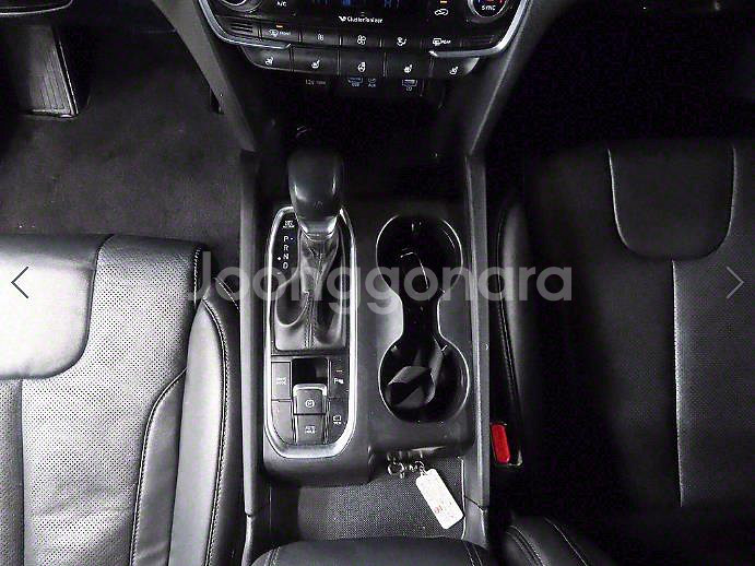 @20년식 싼타페(TM) 2.0T GDi 2WD 익스--9