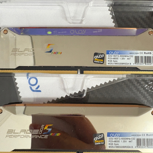 Oloy ddr5 16g 2개 판매