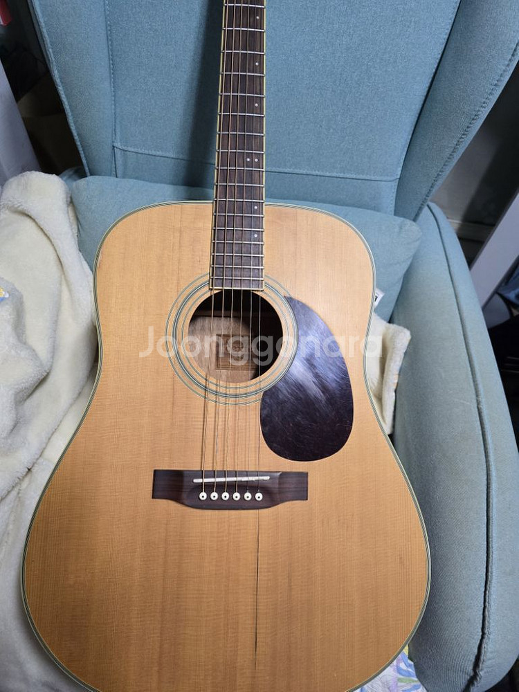 덱스터 DD-18S 통기타--2