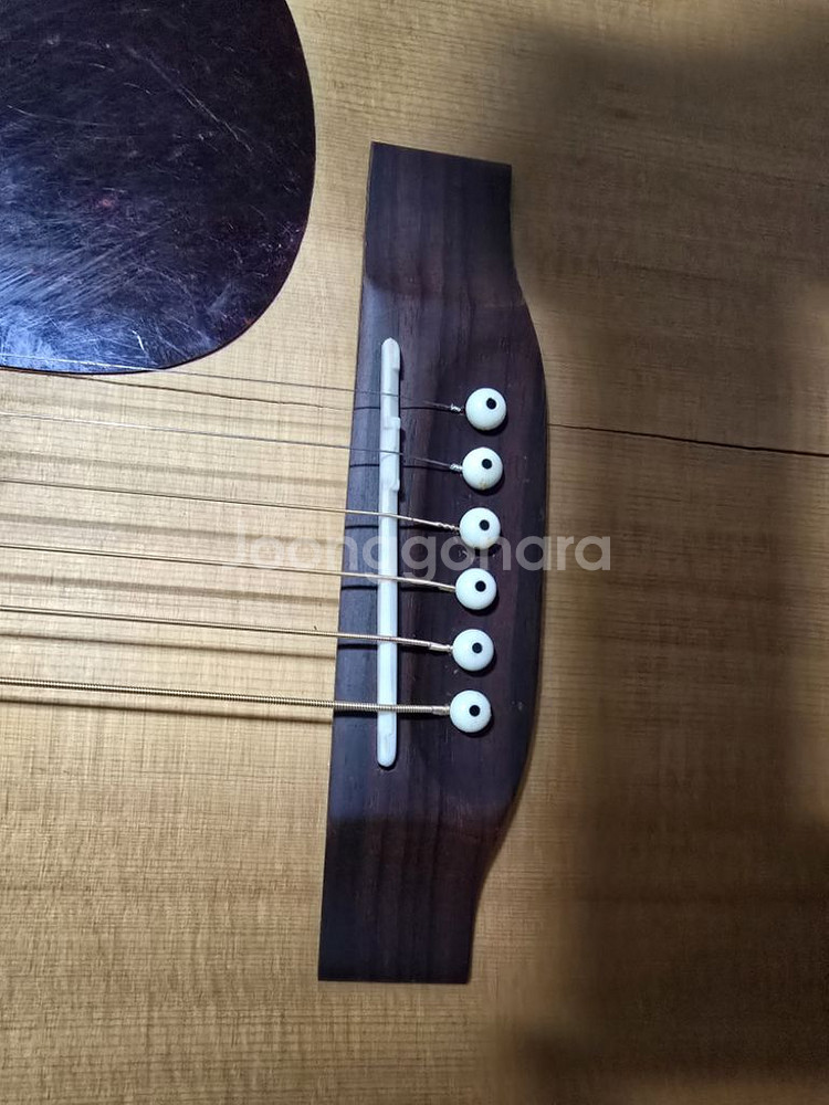 덱스터 DD-18S 통기타--7
