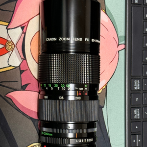 캐논 nfd 80-200 f4 렌즈