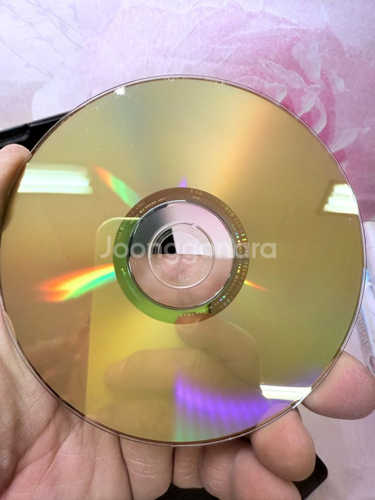 DVD 28일 동안 (1Disc) 산드라블록--5