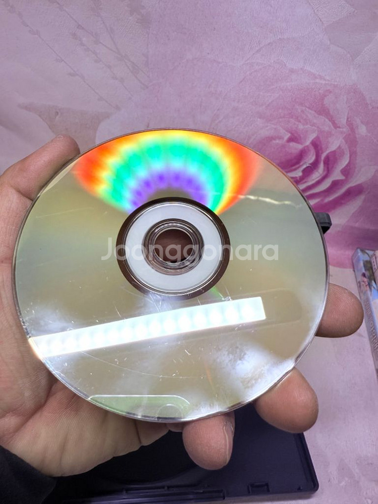 DVD 다찌마와리--5