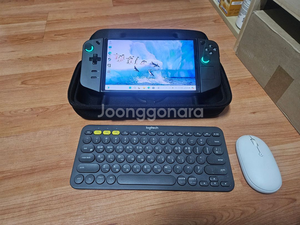 레노버 리전고--0