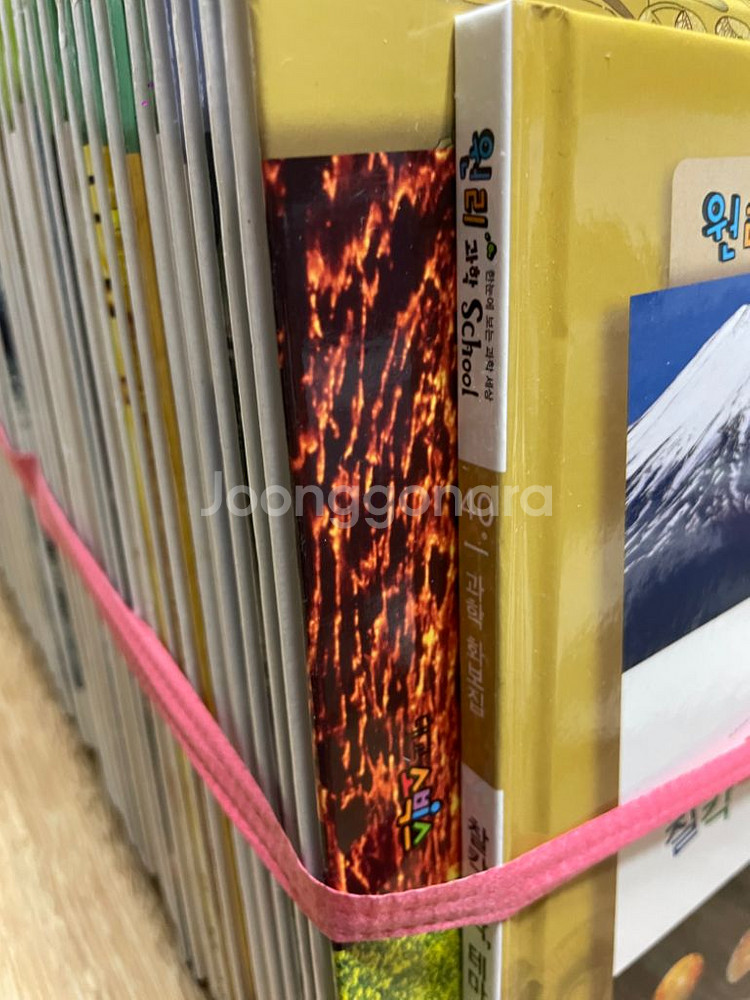 대교 원리과학스쿨--1