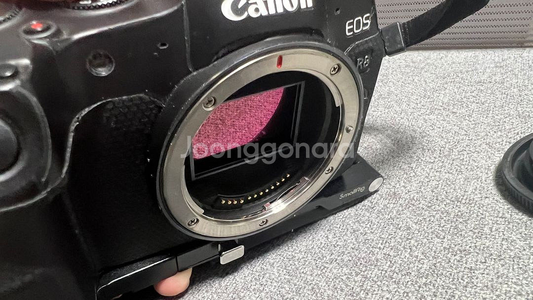 Canon EOS R8 풀박구성 + v90 256gb--3