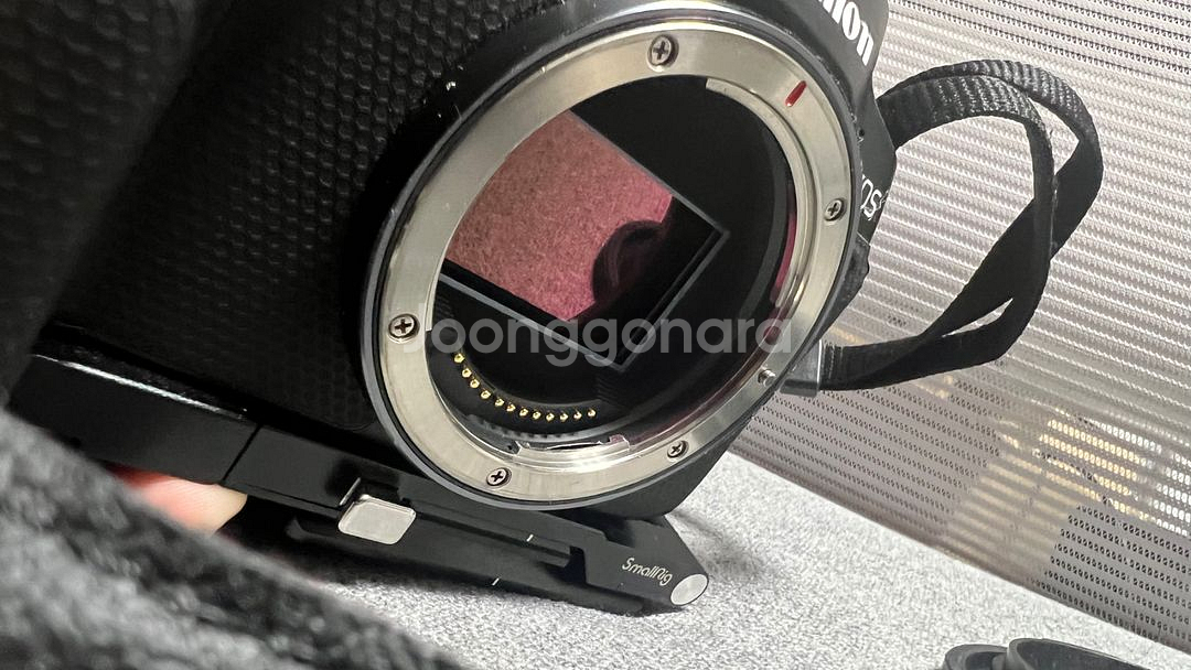 Canon EOS R8 풀박구성 + v90 256gb--4